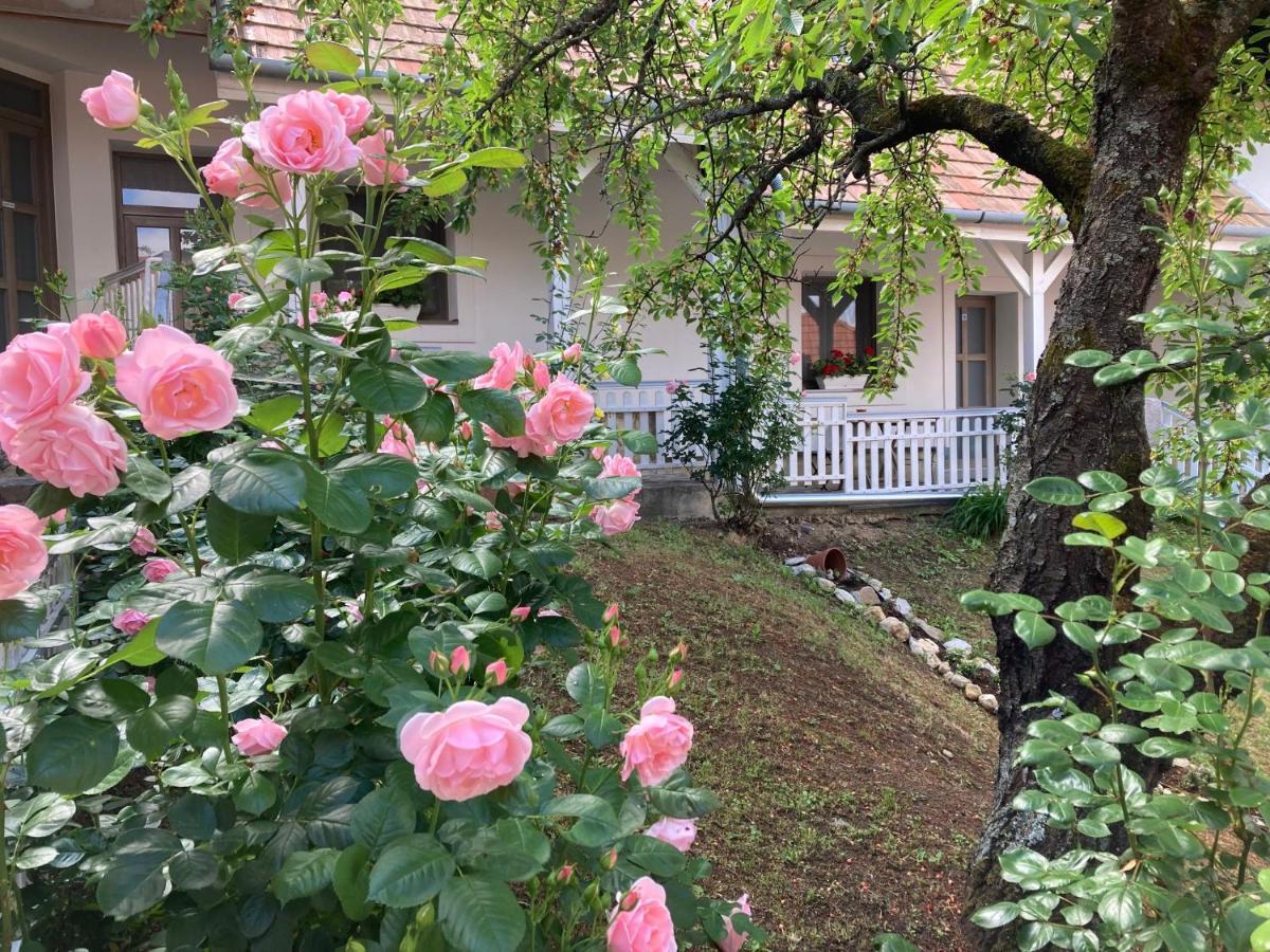 Bed and Breakfast Fogado A Ket Toelgyfahoz Sümeg Zewnętrze zdjęcie
